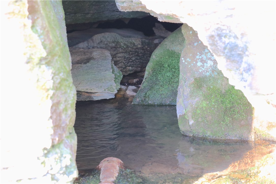 Image 44
