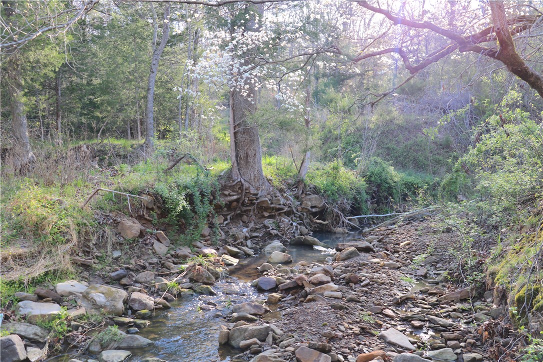 Image 49