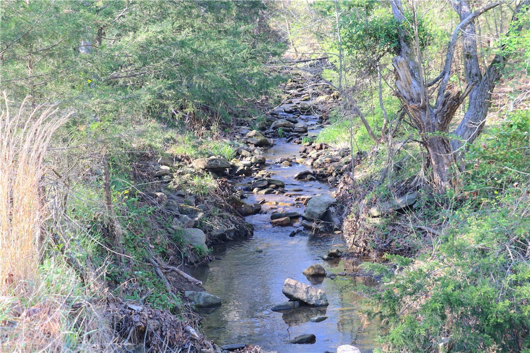 Image 51