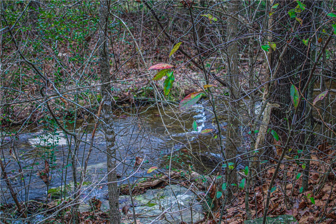 Image 48