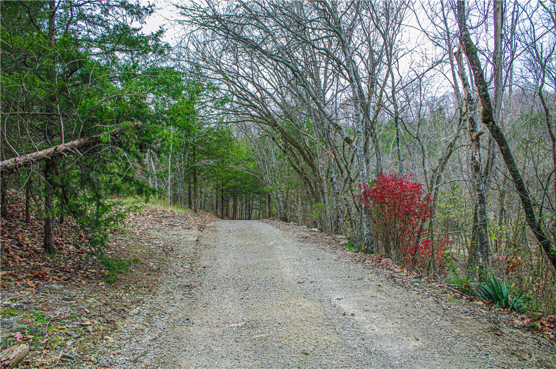 Image 49