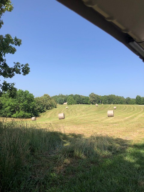 Image 30