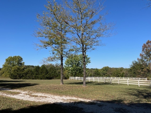 Image 31