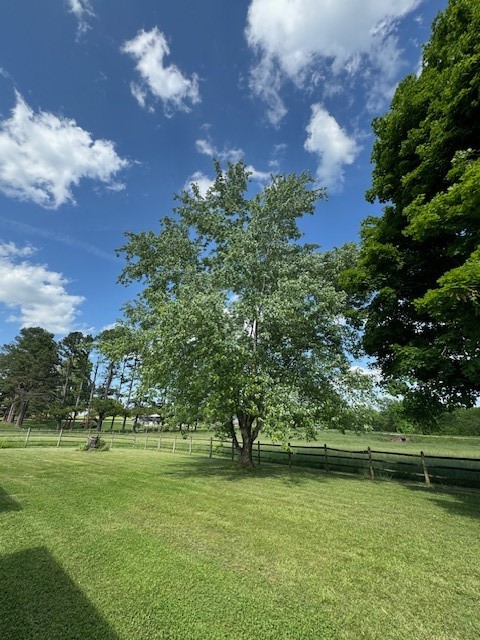 Image 38