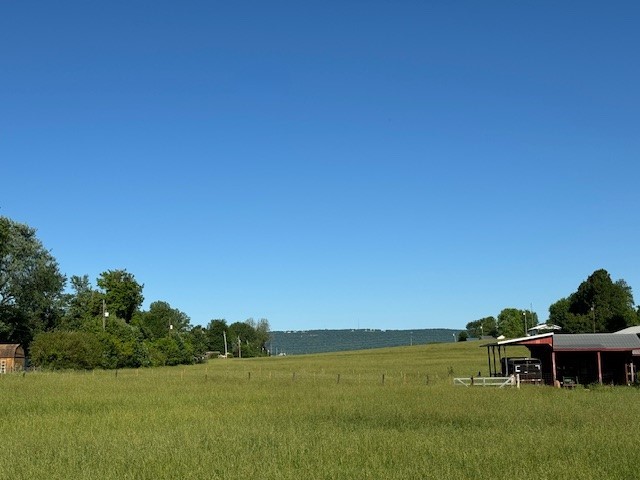 Image 41