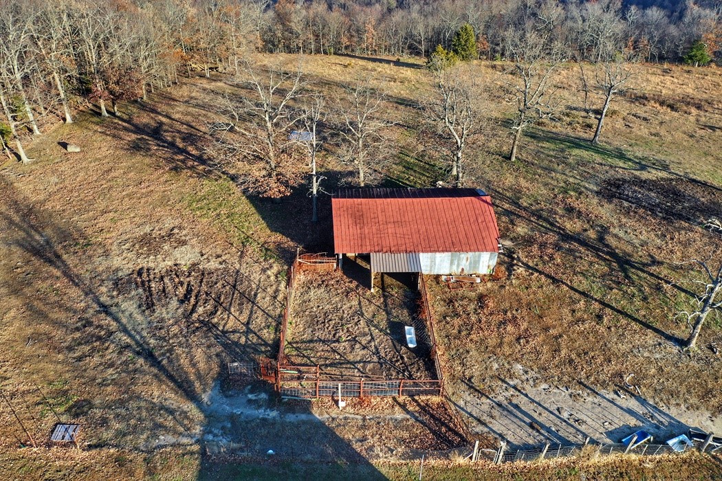 Image 41