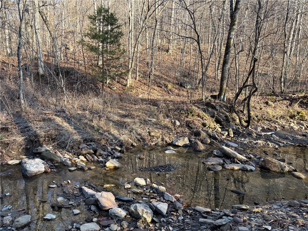 Image 48