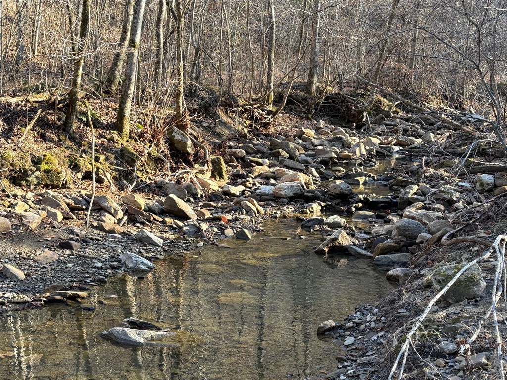 Image 50