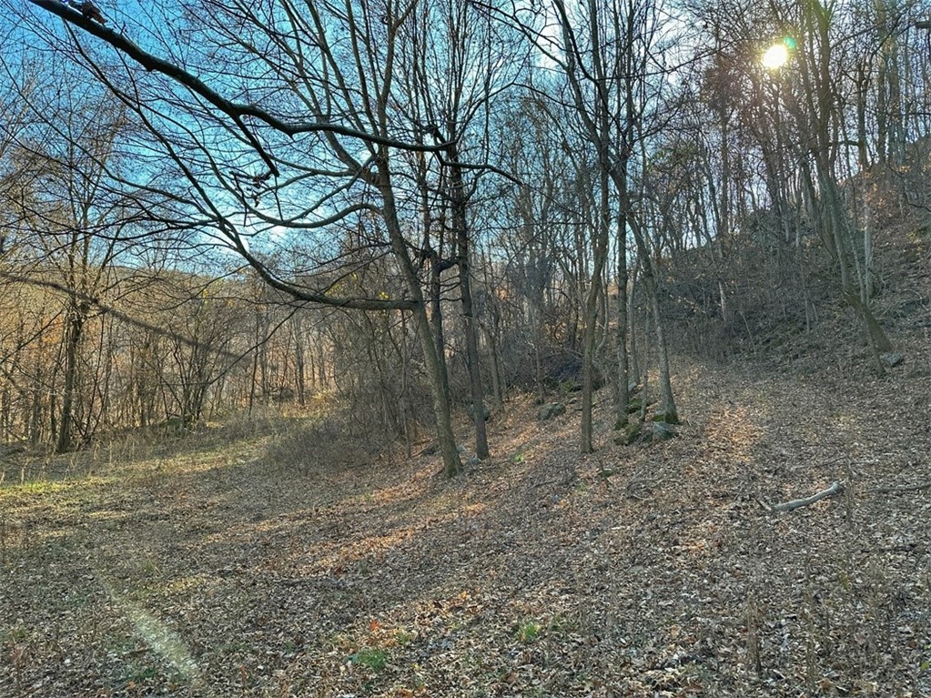 Image 53