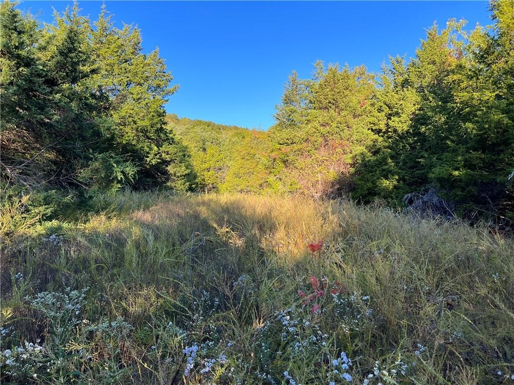 Image 10