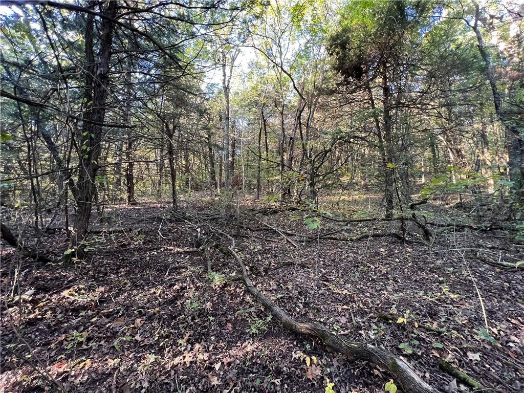 Image 15
