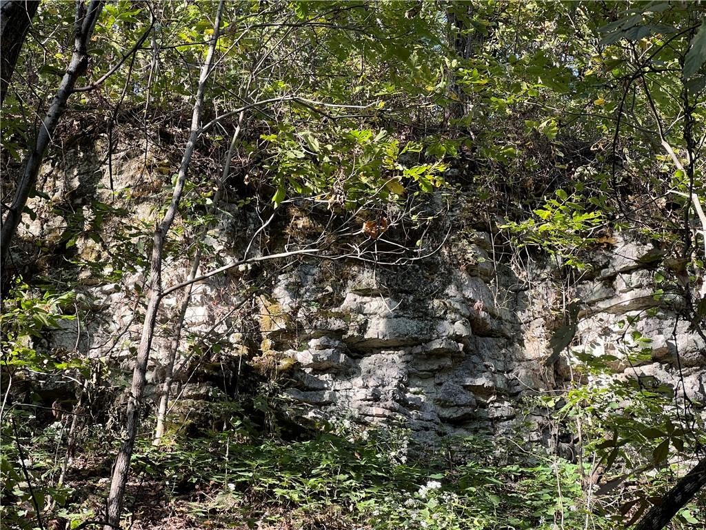 Image 19