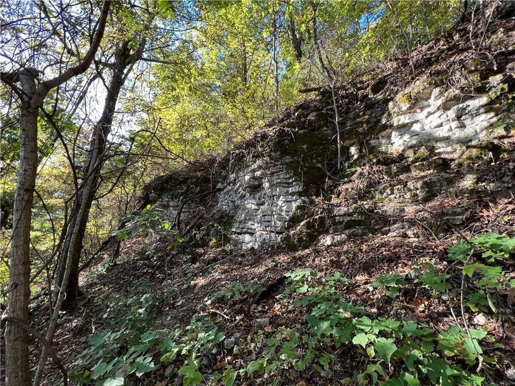 Image 21
