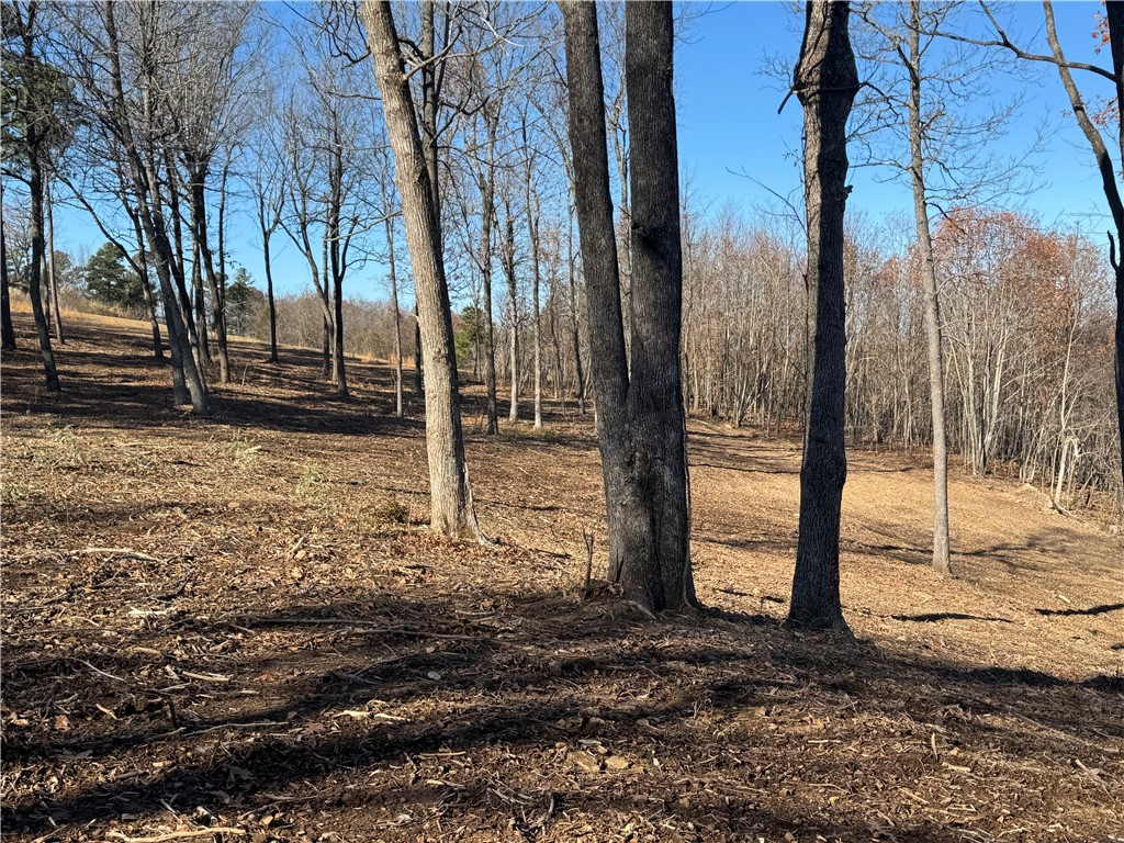 Image 12