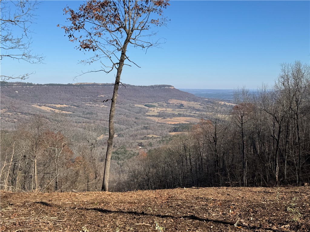 Image 15
