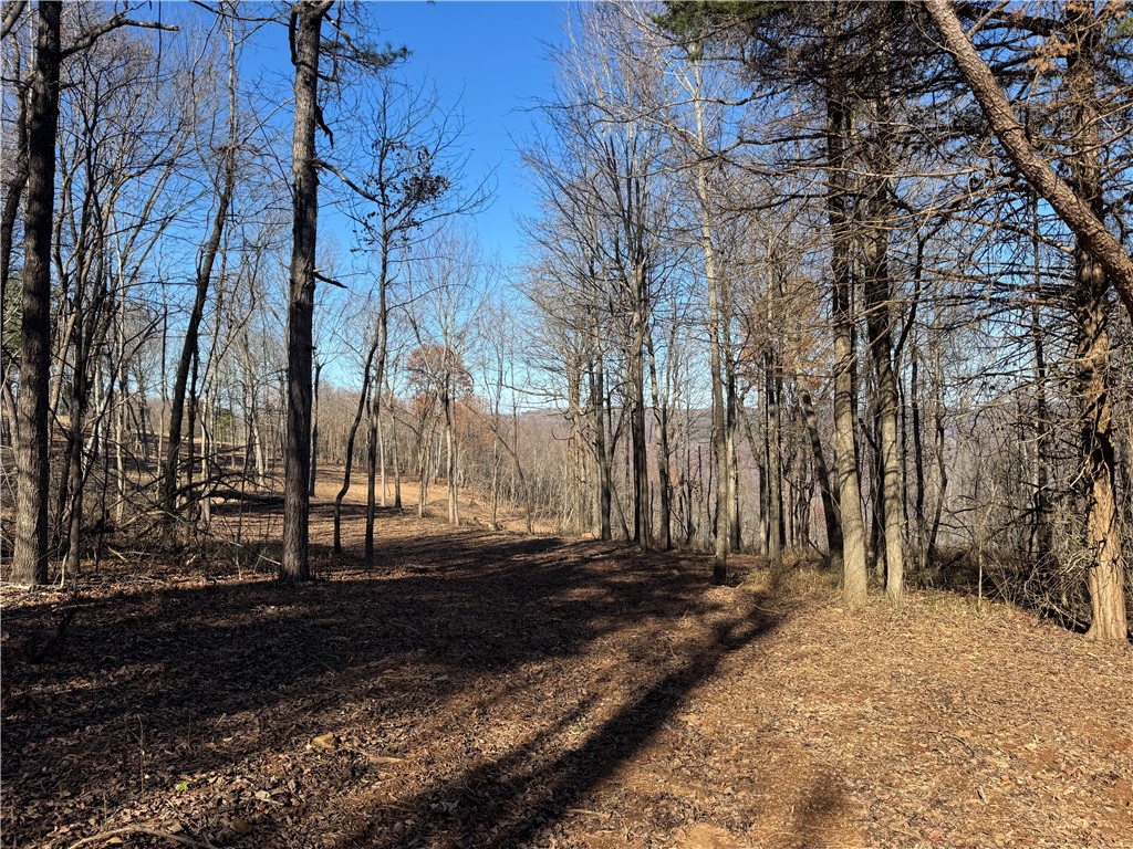Image 9