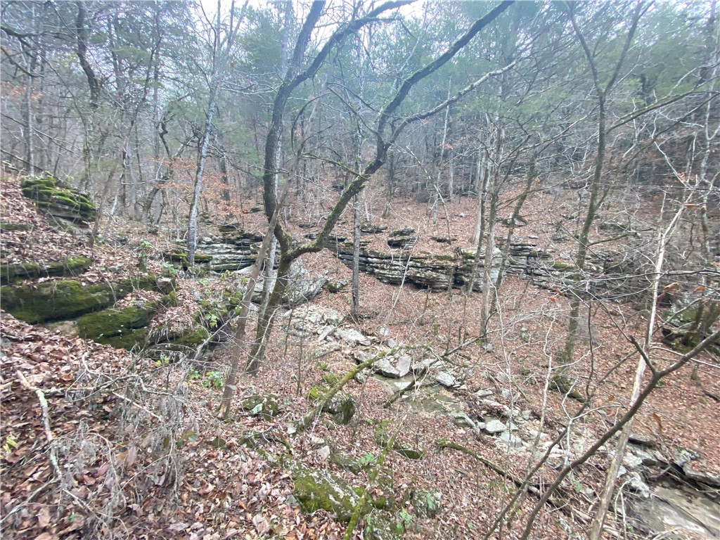 Image 11