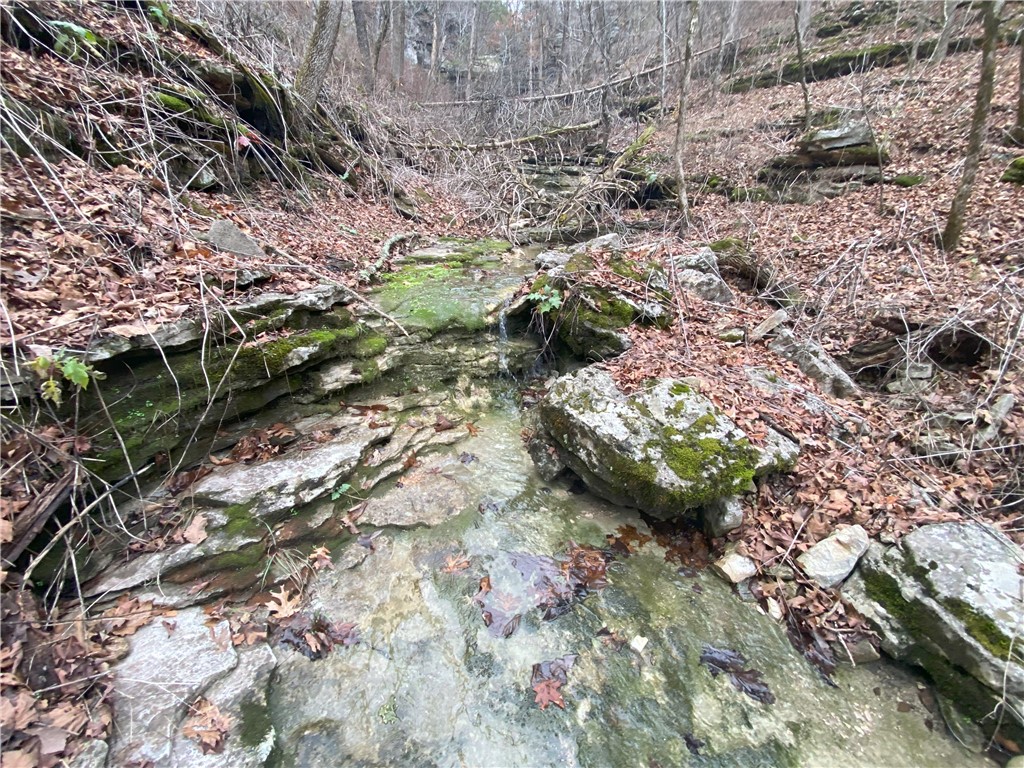 Image 12