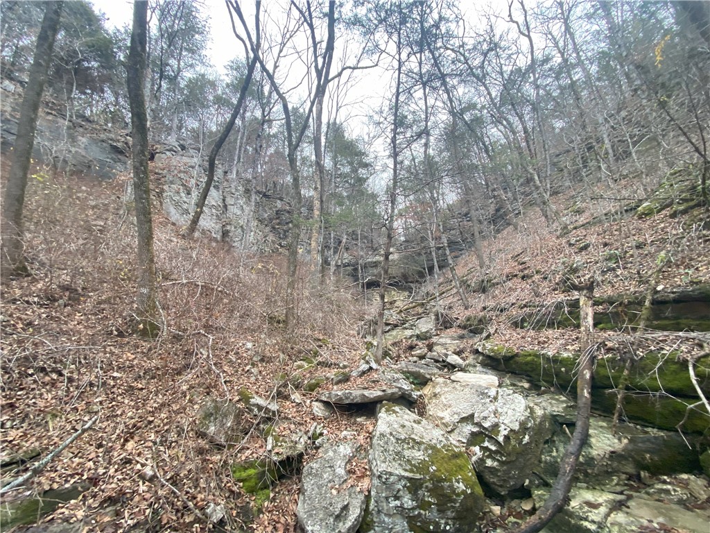 Image 13