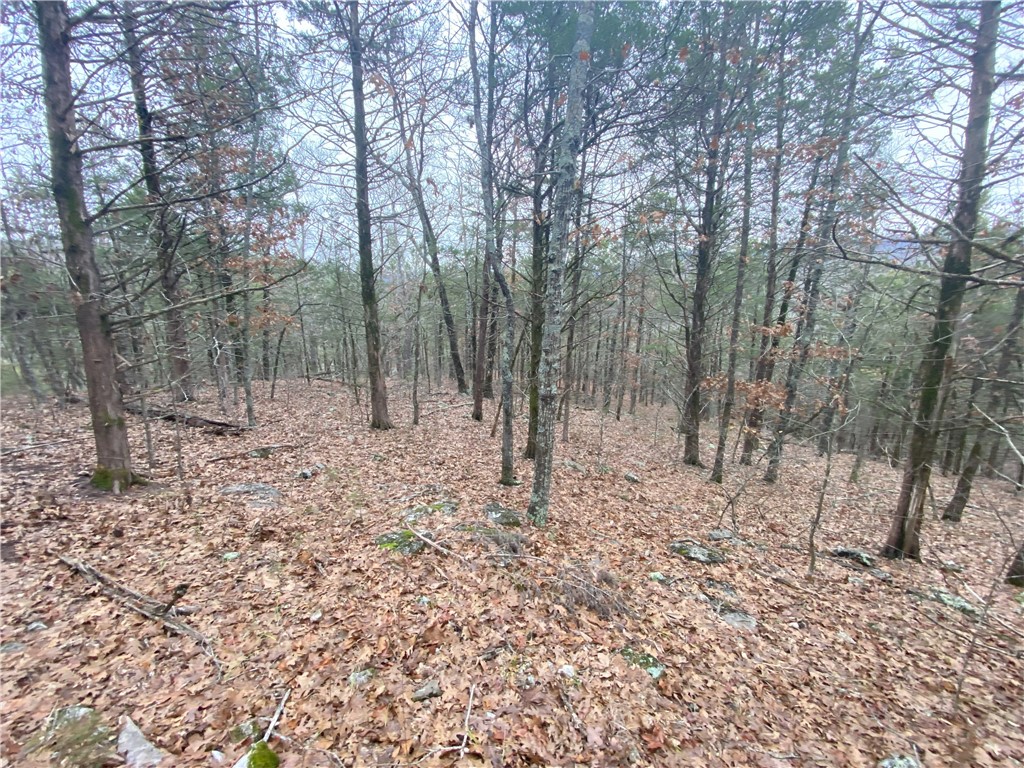 Image 14