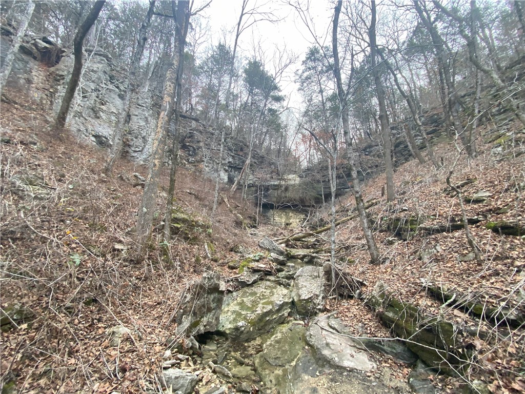 Image 15