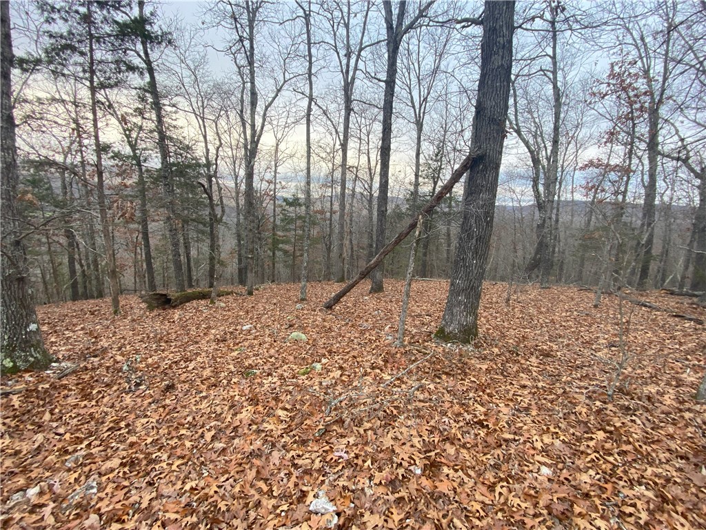 Image 18