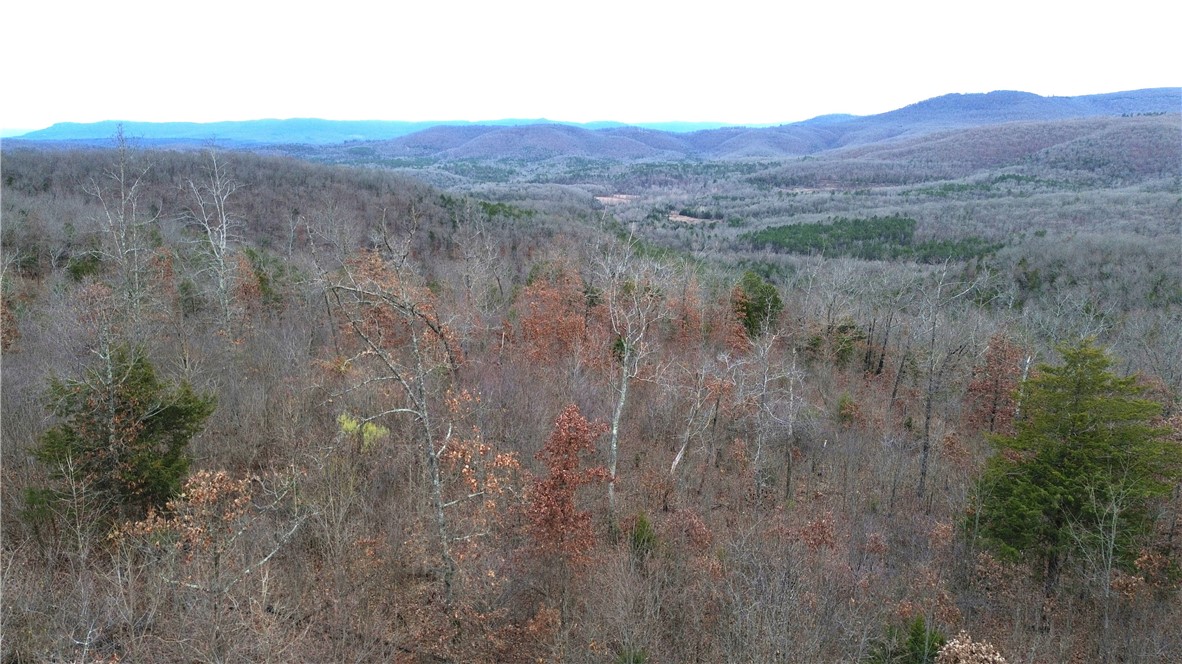 Image 19