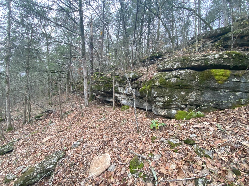 Image 9
