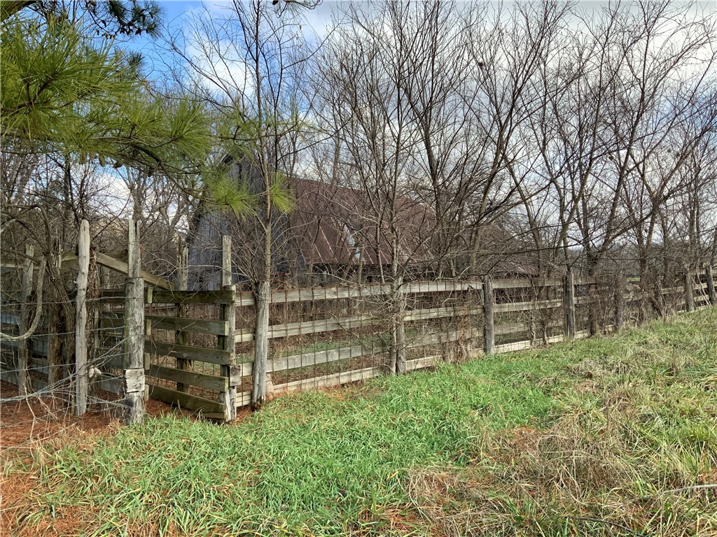 Image 13