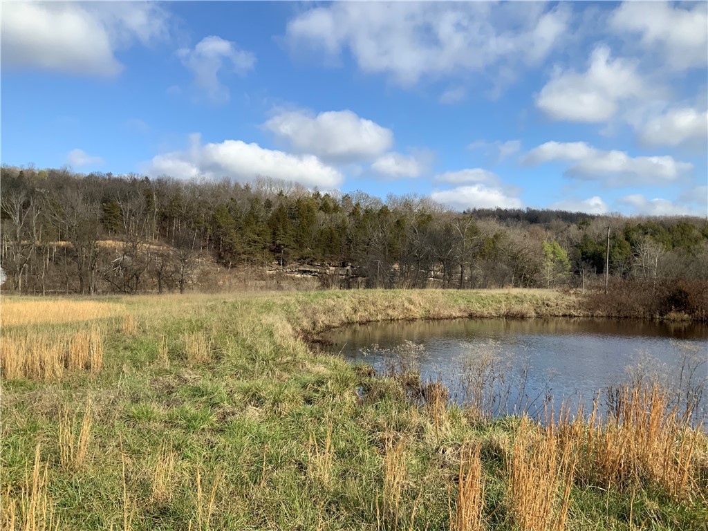 Image 14