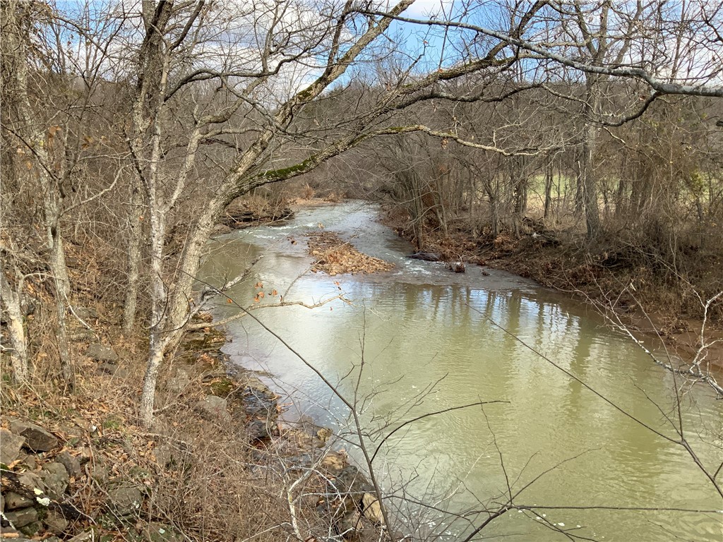 Image 15