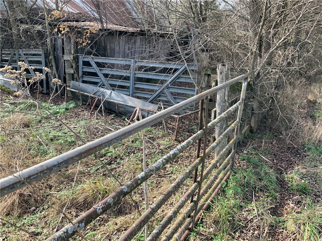 Image 18