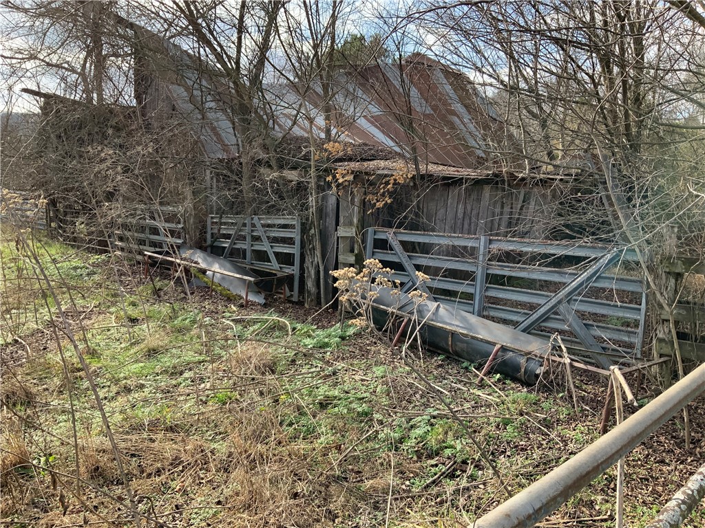 Image 19