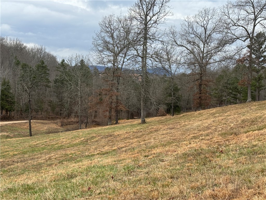 Image 14