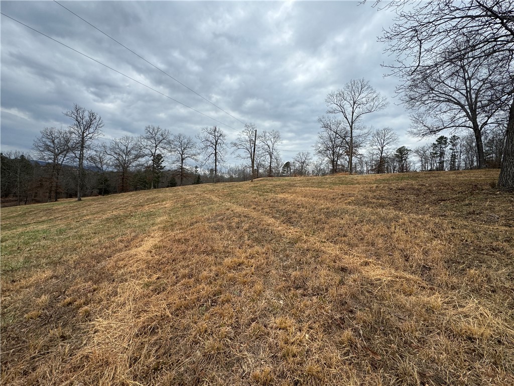Image 15