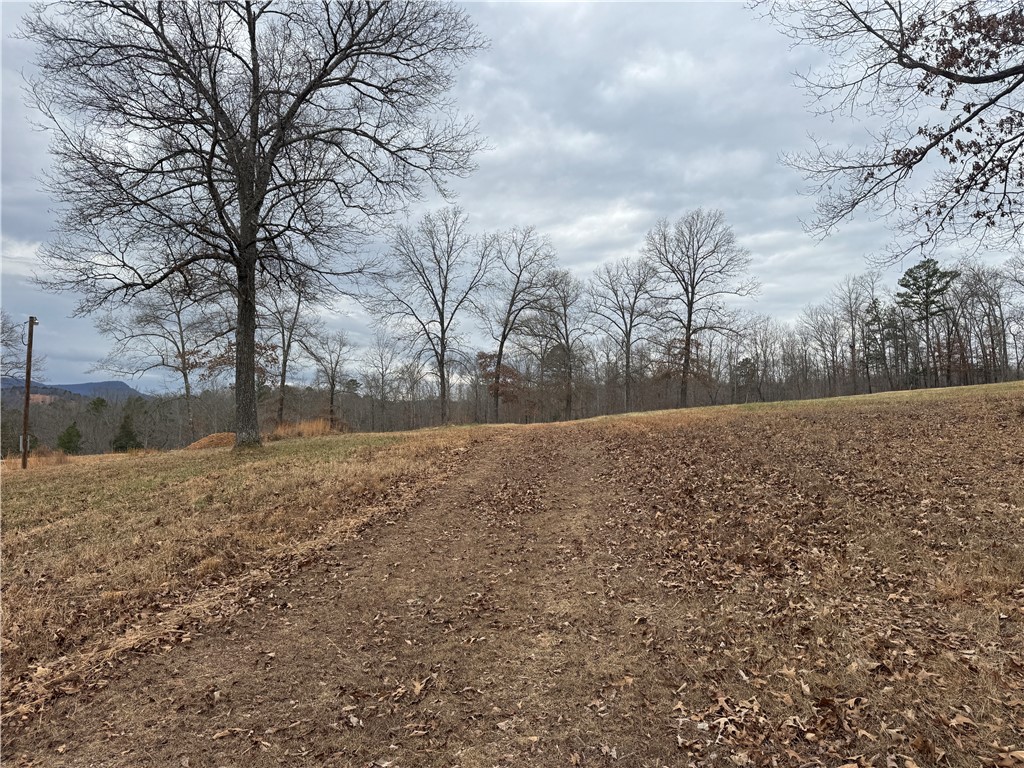 Image 19