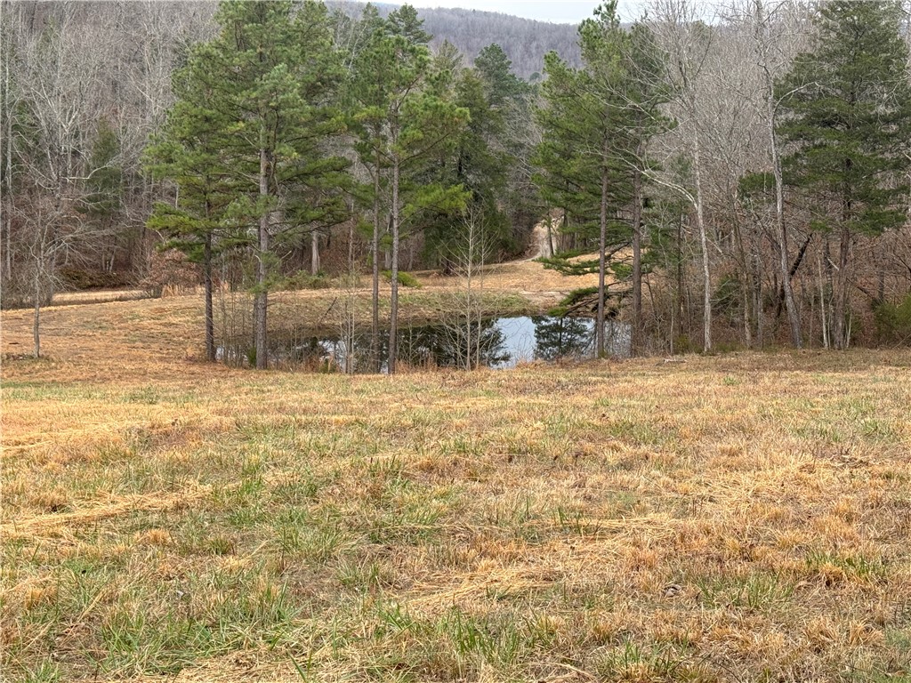 Image 31