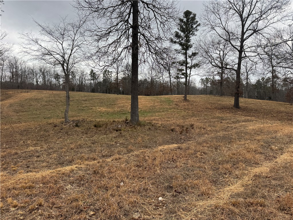 Image 33