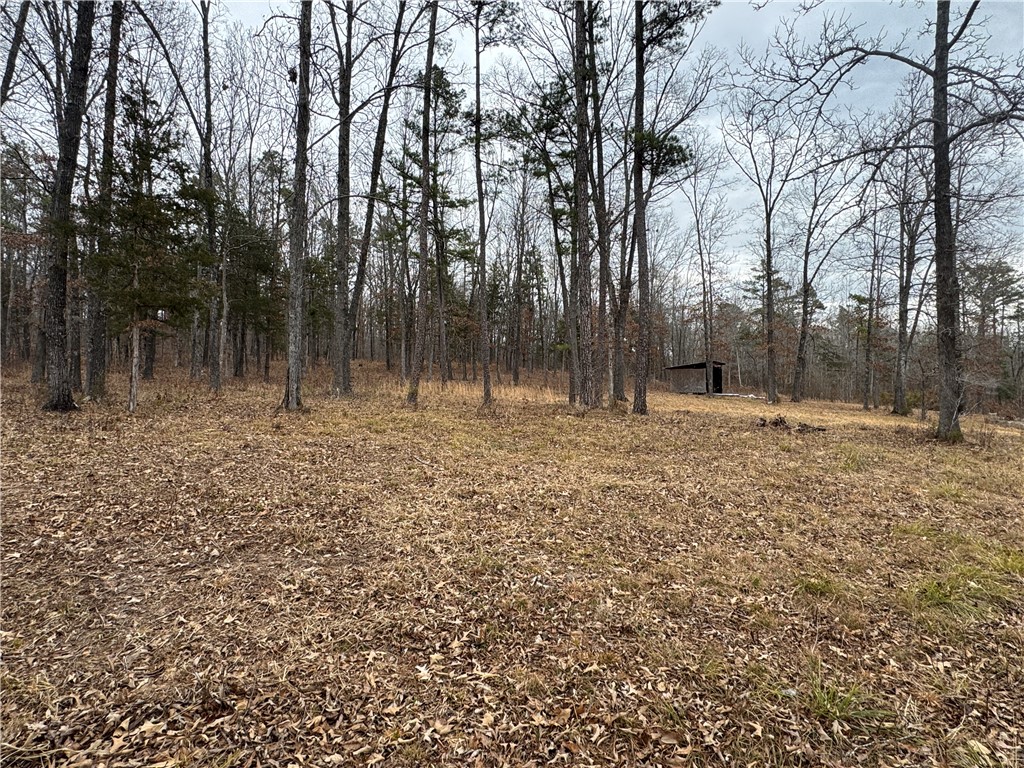 Image 40