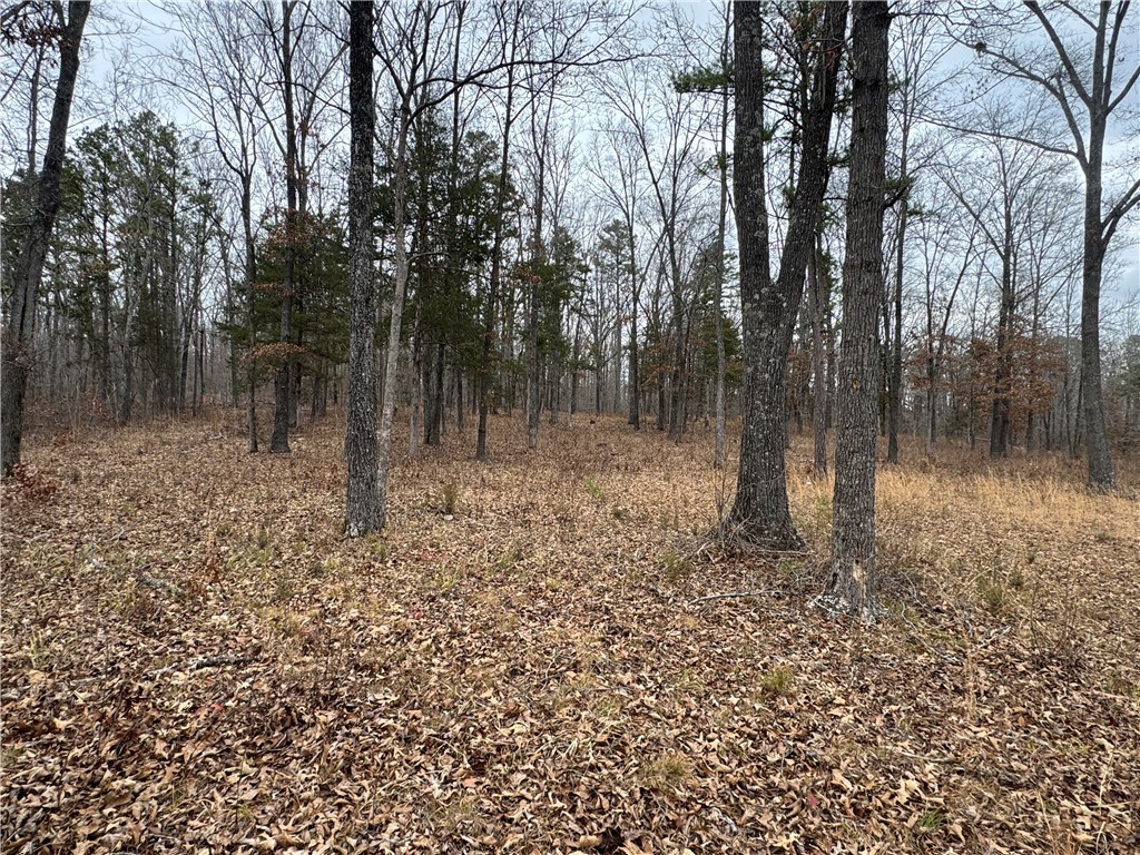 Image 41