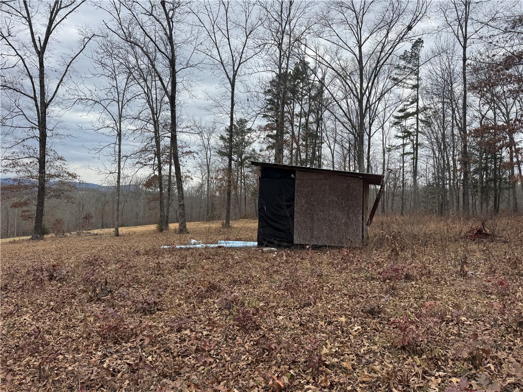 Image 45