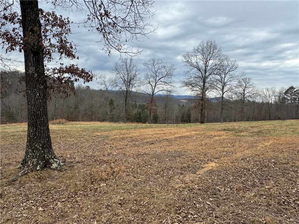 Image 47