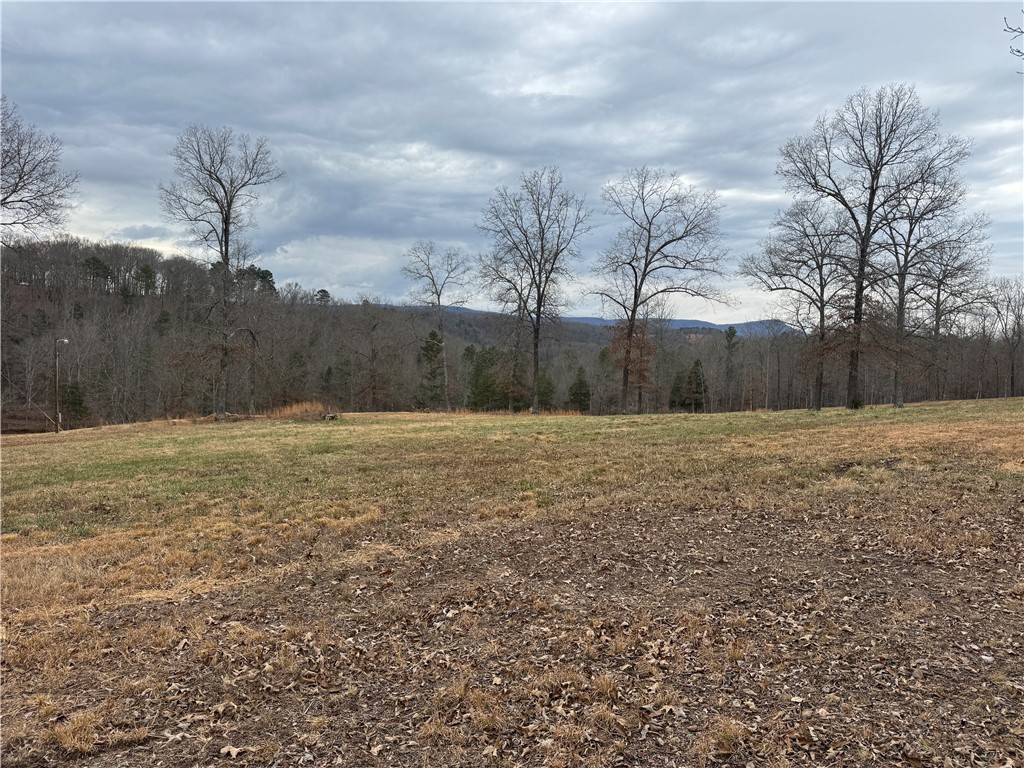 Image 49