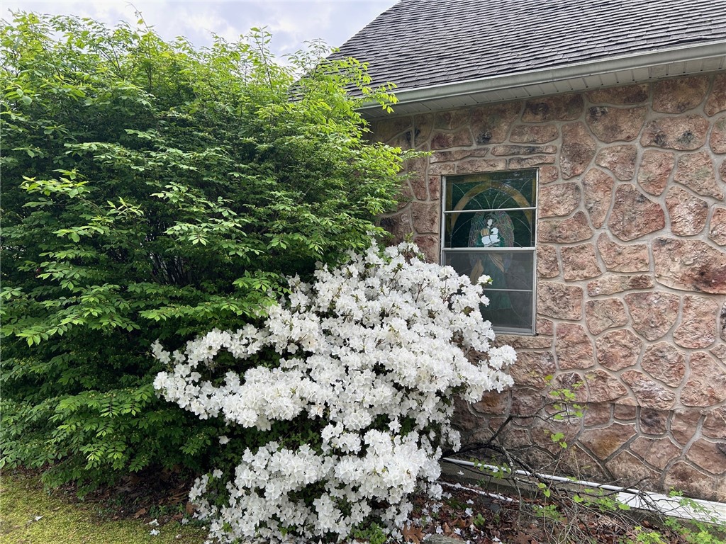 Image 23