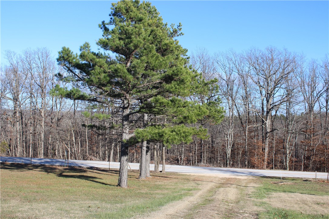 Image 37