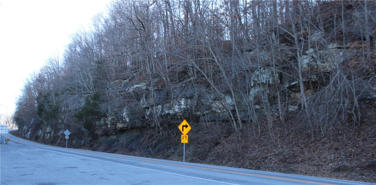 Image 51