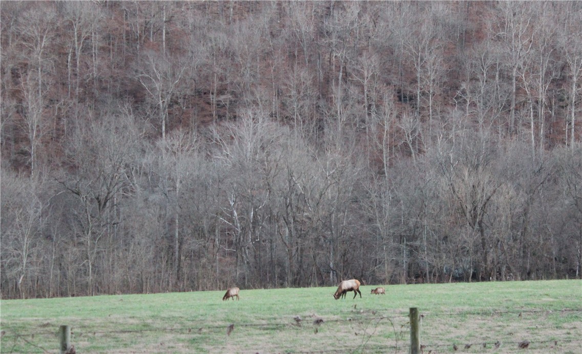 Image 52