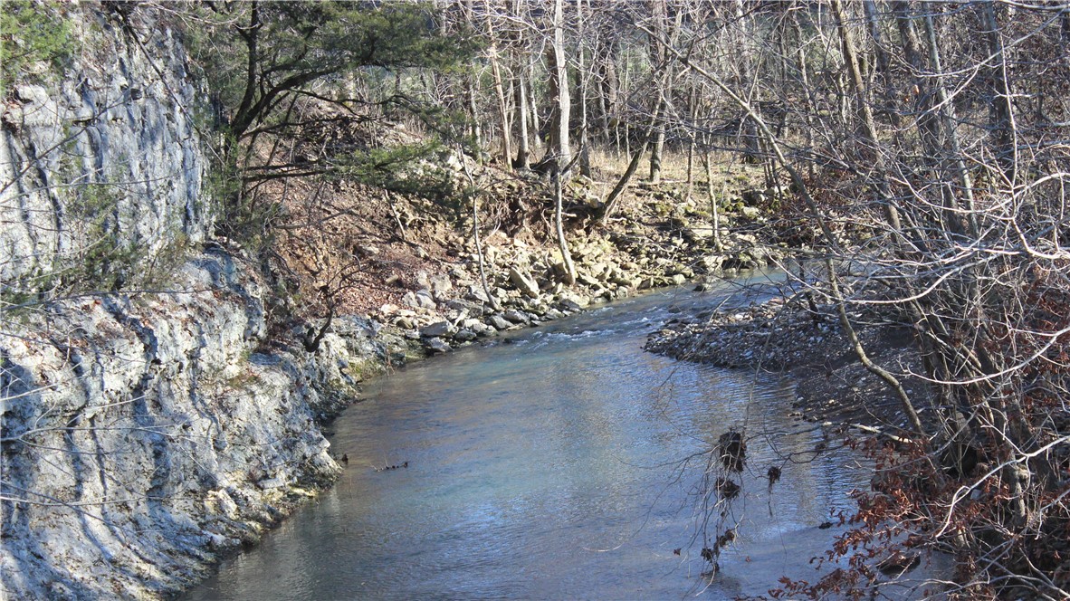 Image 53