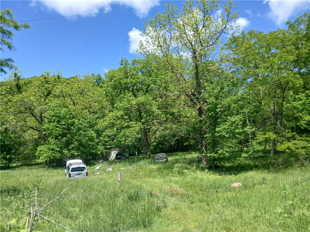Image 10
