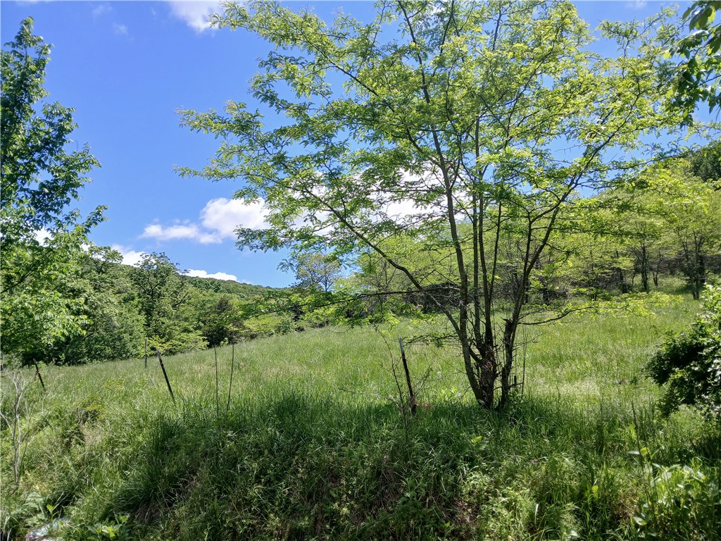 Image 12